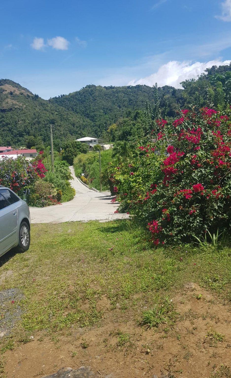 Land for sale in Castle Comfort Natureisle Realty